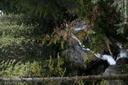 img 0966