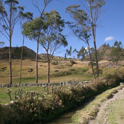 Chemin de l'Inca et Ingapirca