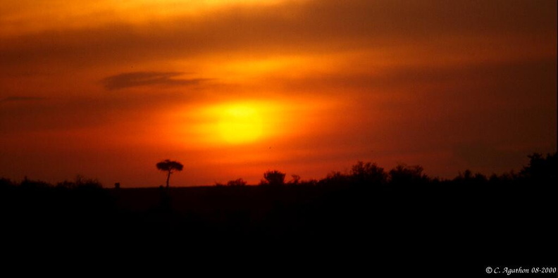 Couché de soleil sur Masaï Mara (3)