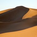 Trésors de dunes - courbes