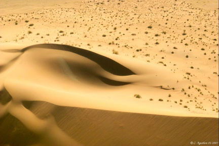 Courbes et lumière de la dune