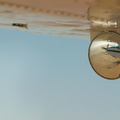 Vol au dessus du Namib (1)