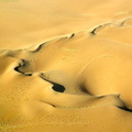 Arabesques de dunes