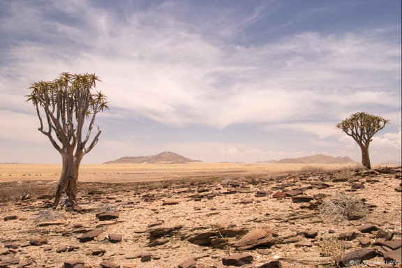 Paysage du Namib-Naukluft