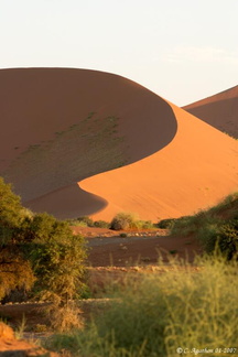 Objectif dune