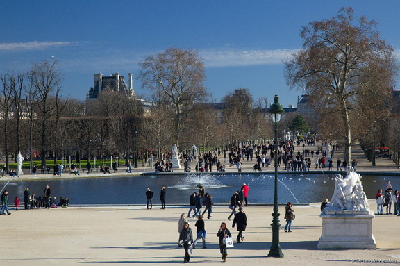 Bassin des Tuileries en hiver (2)