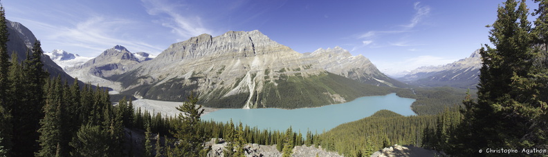 Pano Lac Peyto blended fused