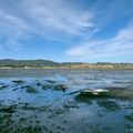 Marée très basse dans la baie de Txingudy (2)