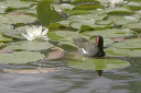 crw_6604.jpg