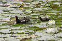 crw_6620.jpg