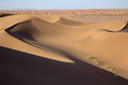 Trésors de dune - courbes