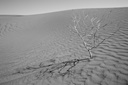Ombres sablées 2