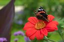 Jardin des Plantes
