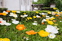 paris_20120508-100154__MG_0499.CR2.jpg