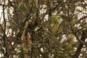 crw_4991.jpg