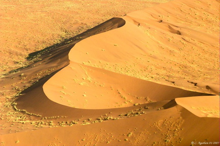 Dune et courbes