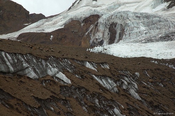Glaciar Horcones Superior (5)