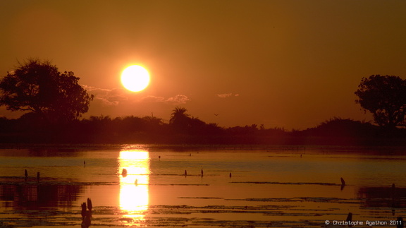 Okavango sunset