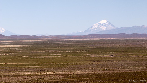 Altiplano et Sajama