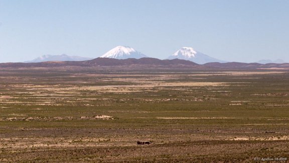 Altiplano Pomerape et Parinacota