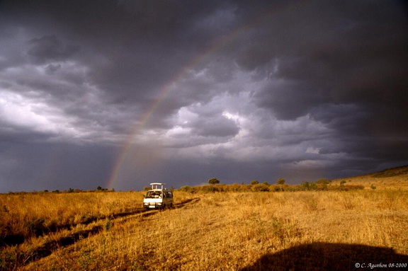 Arc-en-ciel et minibus sur Masaï Mara