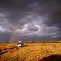 Arc-en-ciel et minibus sur Masaï Mara