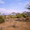 Samburu (2)