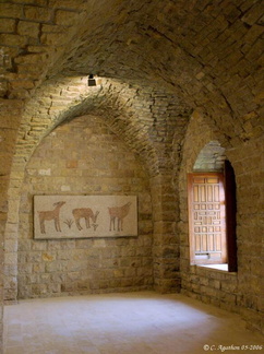 Musée de mosaïque de Beiteddine (1)