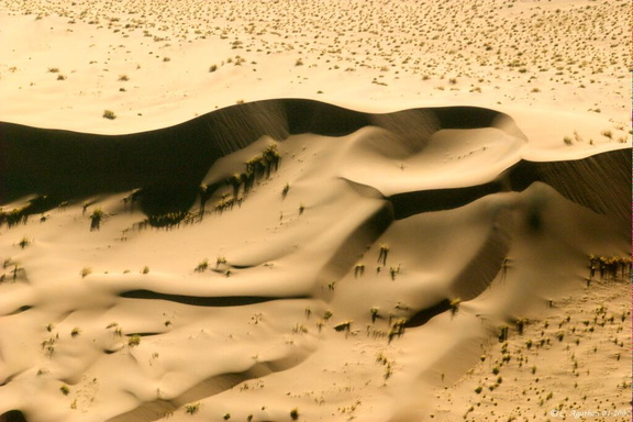 Ombres de dunes