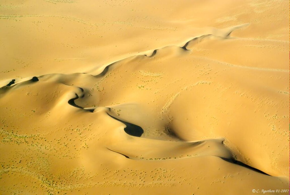 Arabesques de dunes