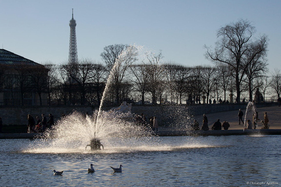 Bassin des Tuileries et Tour Eiffel