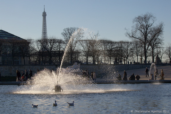 Bassin des Tuileries et Tour Eiffel