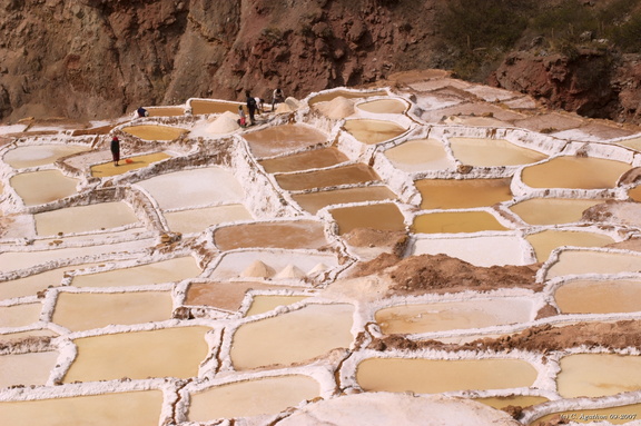 Récolte du sel aux salines de Maras (7)
