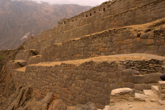 Terrasses d'Ollantaytambo (2)