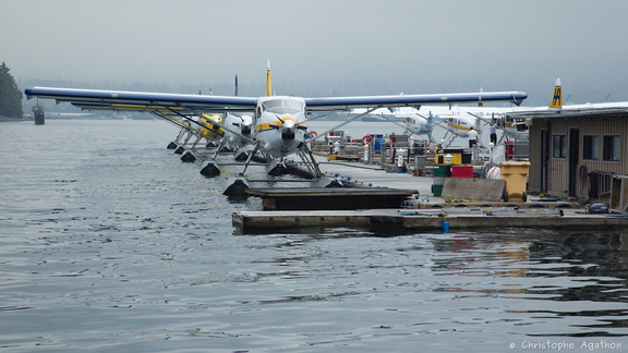 Hydravions dans le port de Vancouver