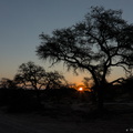 Namib-Naukluft Sunset