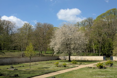 Jardin de Vallois au printemps